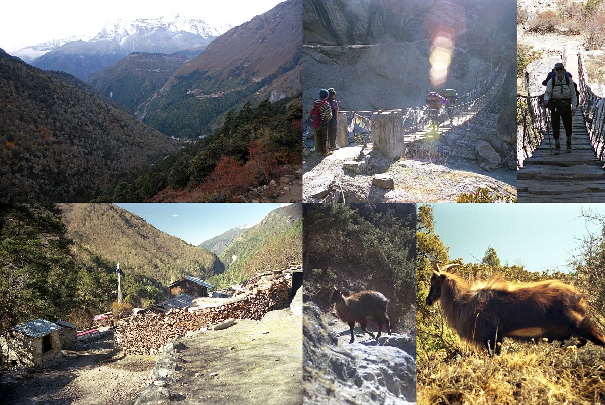 05 Namche Bazaar To Tengboche - View Of Trail From Trail To Tengboche, Crossing Bridge At Phunki Tenga, Musk Deer On Final Trail To Tengboche